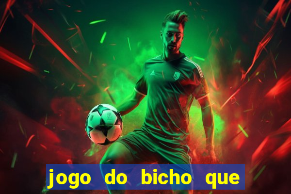 jogo do bicho que paga no pix